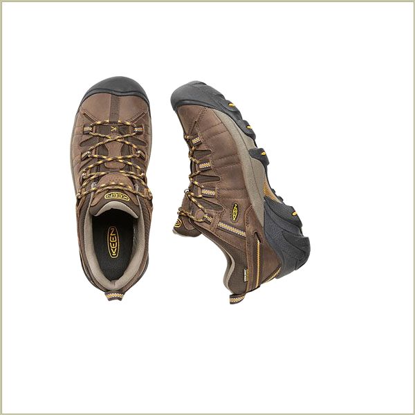  Targhee Ii Cascade Brown Keen Men Hiking
