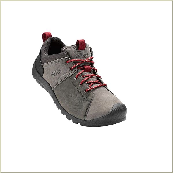  Citizen Waterproof Gargoyle Keen Men Casual